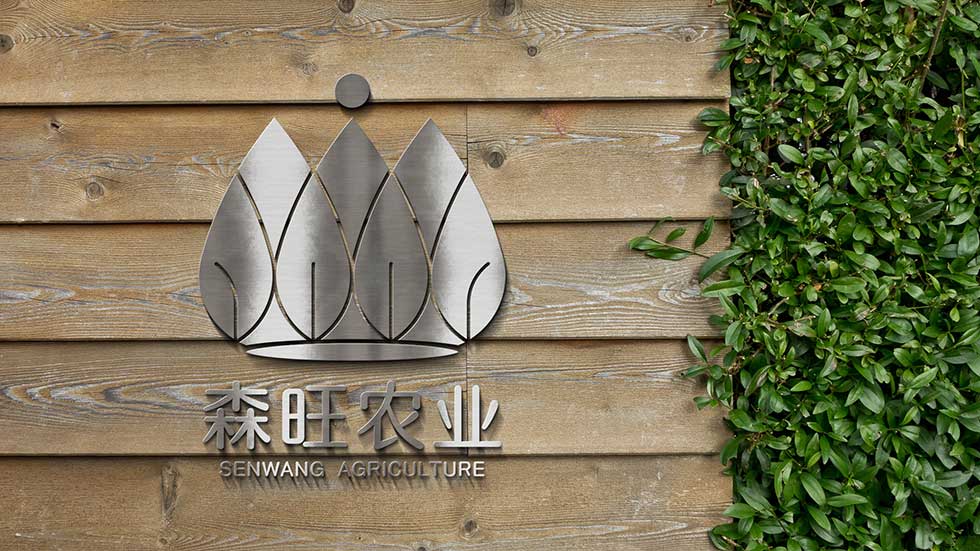 logo设计效果图